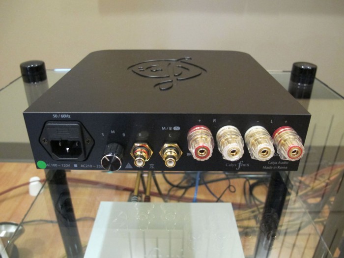 Calyx Femti Class D Power Amplifier